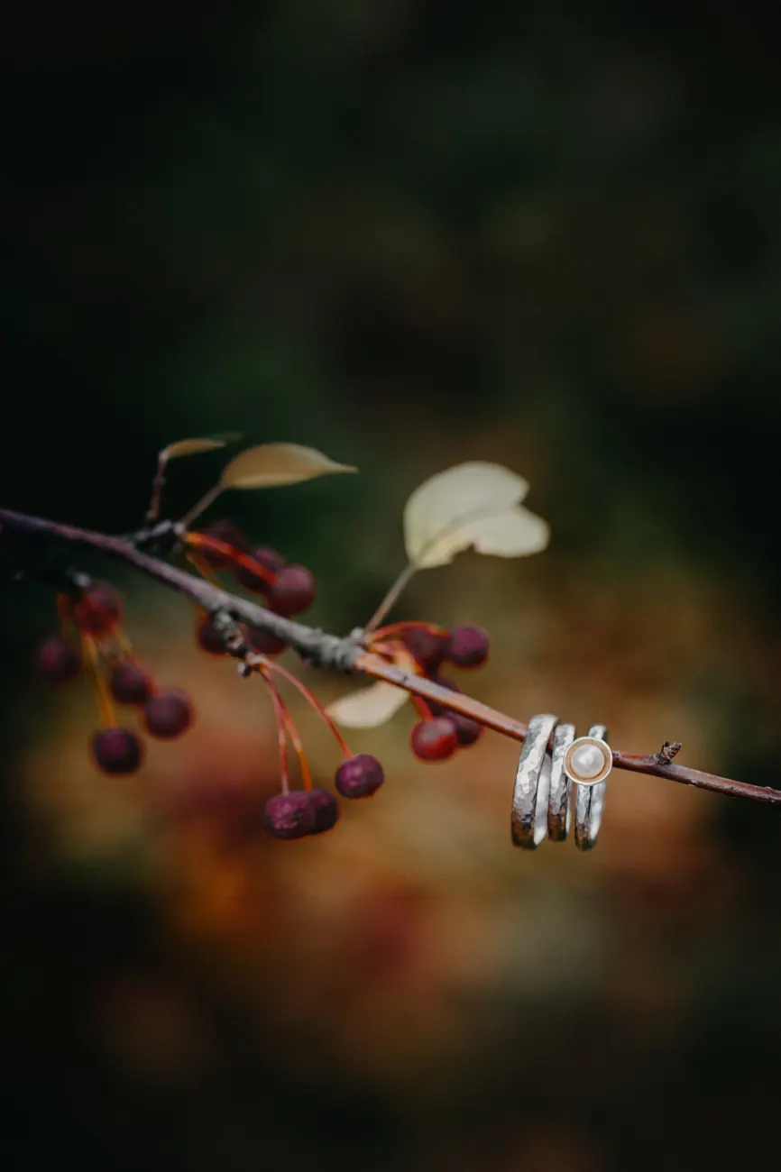 Eheringe an einem Ast mit roten Beeren