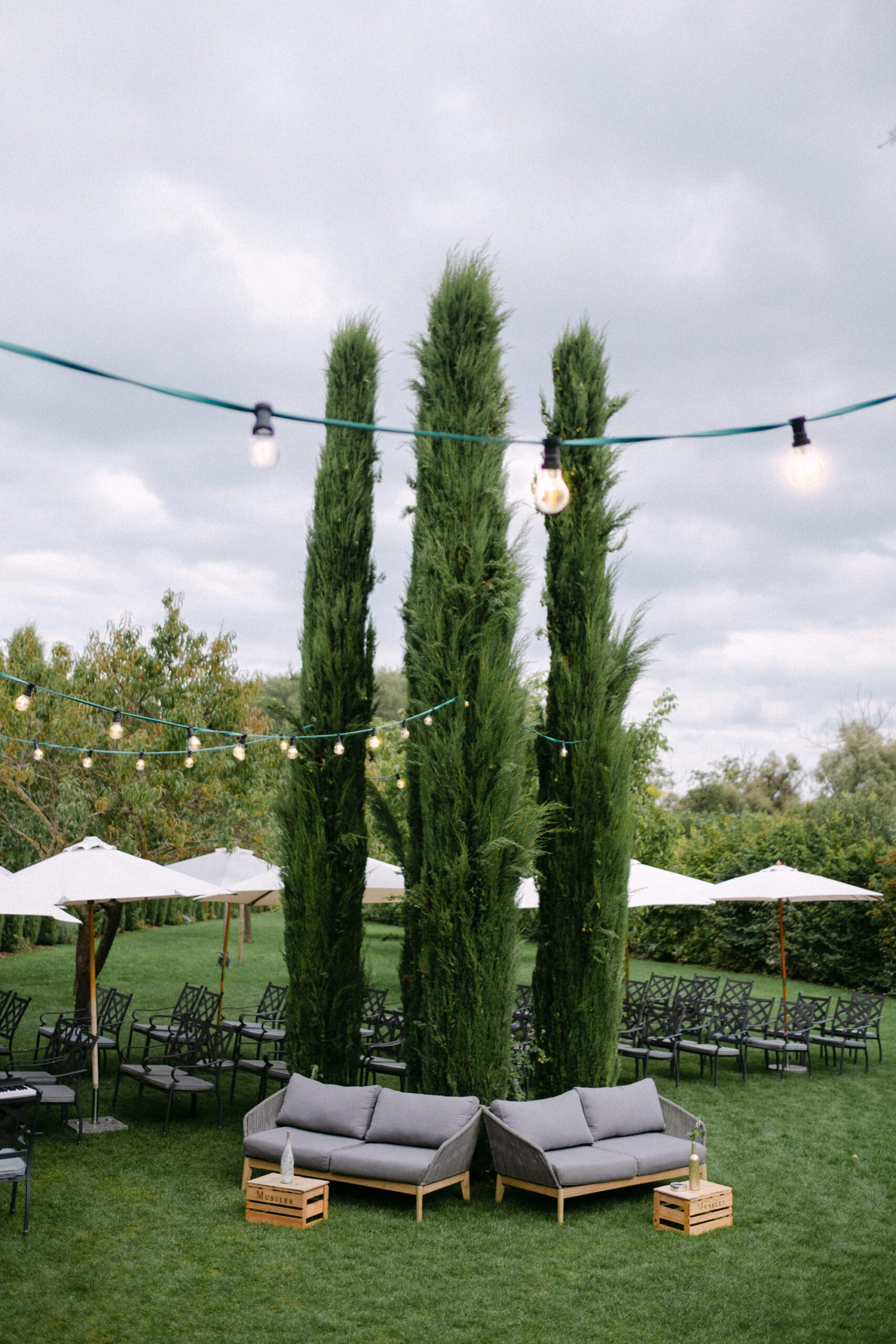 Hochzeit Weingut Mussler Bissersheim Pfalz — Bild 40 — Lichtgeflüster