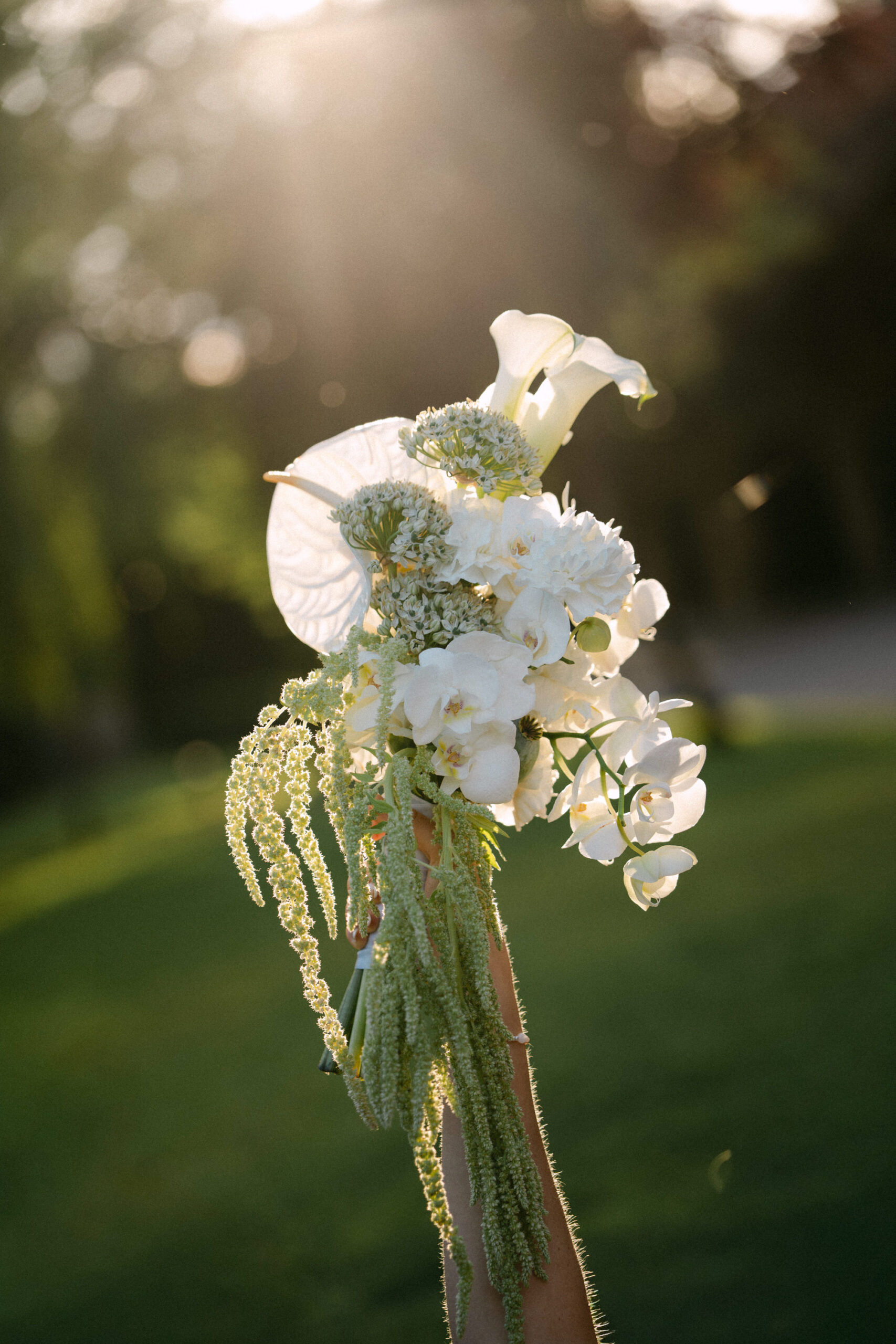 Hochzeit Schlossgut Lautenbach Oedheim bei Heilbronn — Bild 34 — Lichtgeflüster