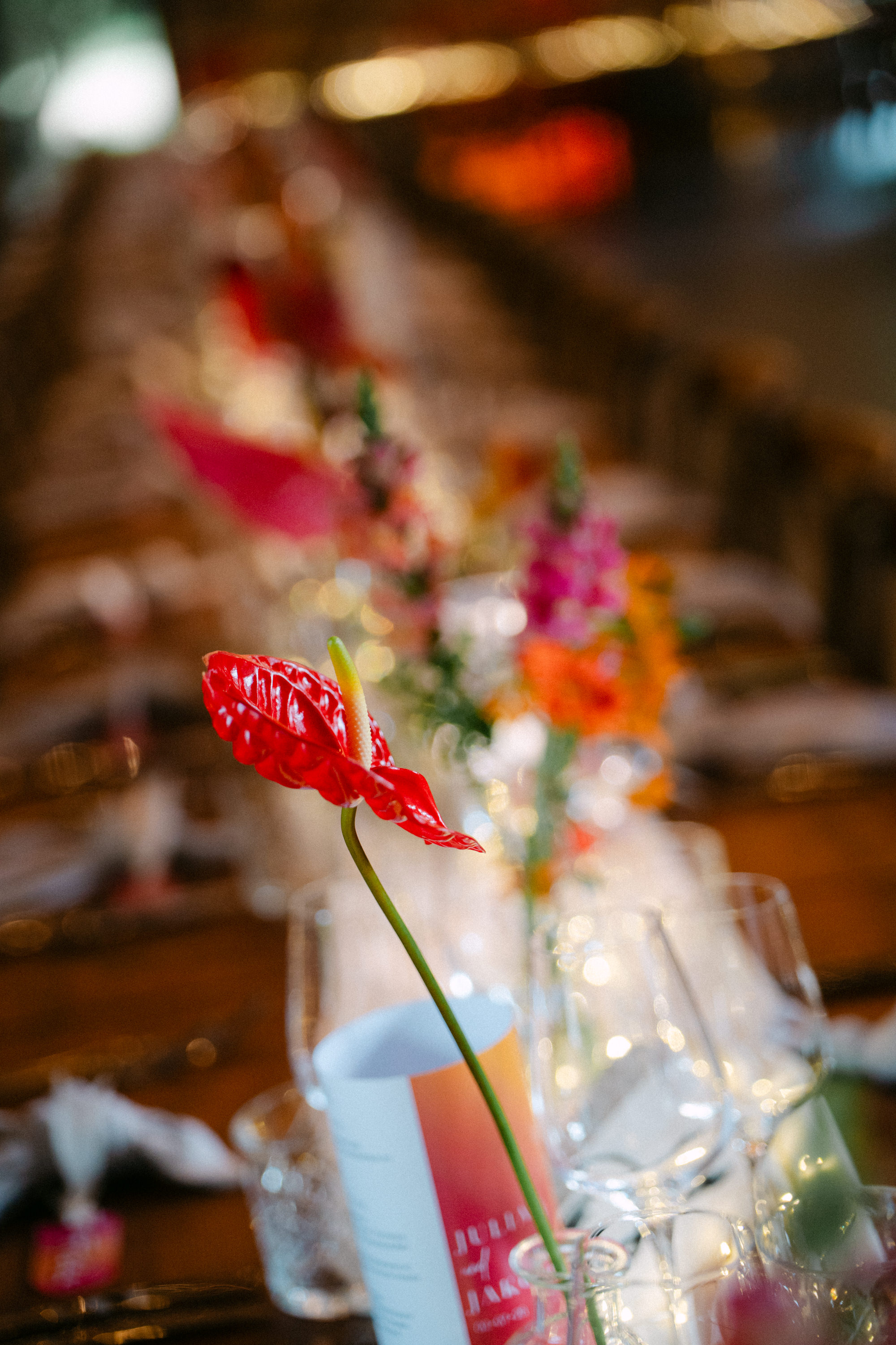Hochzeit Gut Rehbach Haßloch Pfalz — Bild 72 — Lichtgeflüster
