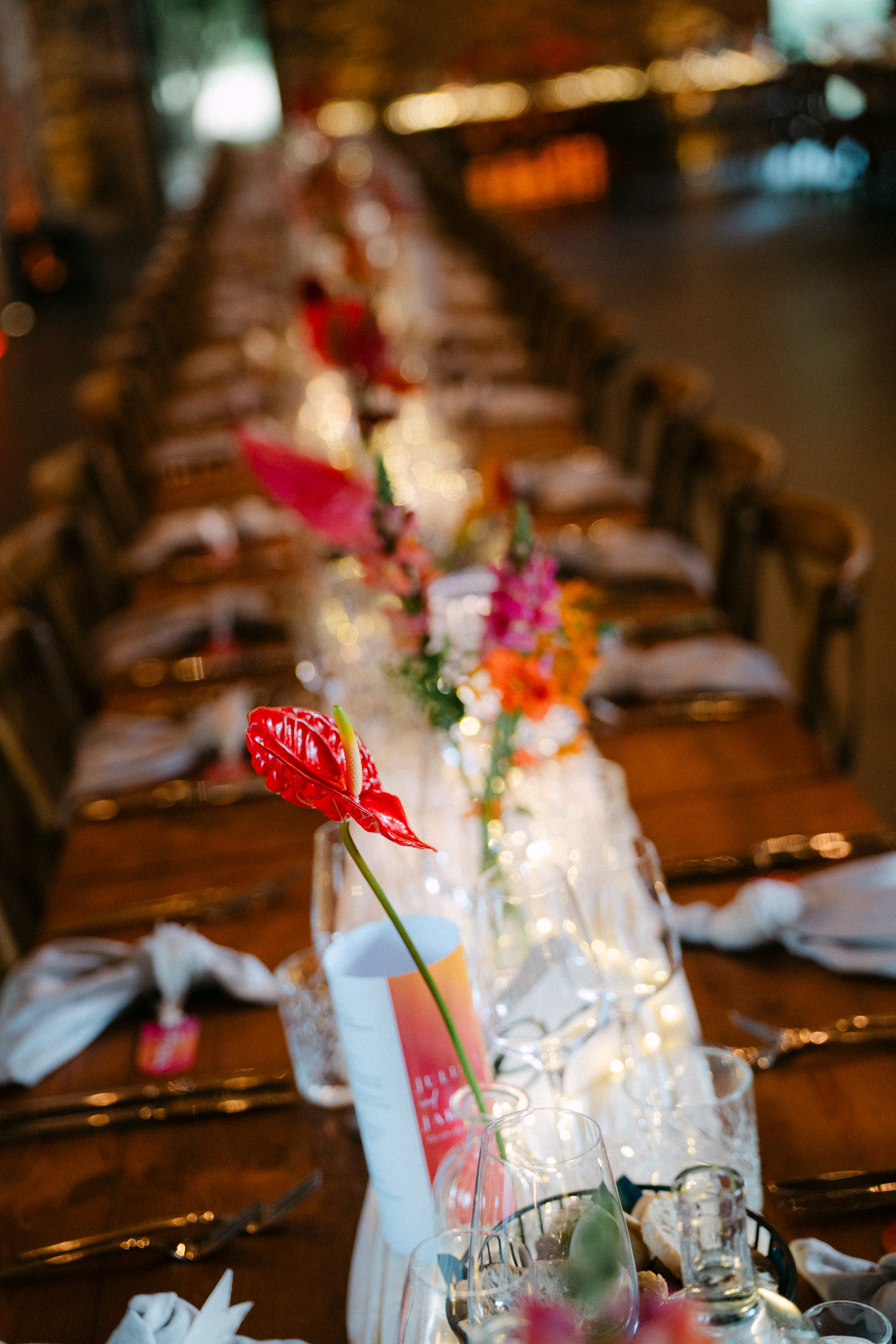 Hochzeit Gut Rehbach Haßloch Pfalz — Bild 73 — Lichtgeflüster
